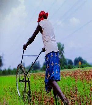 Livelihood story